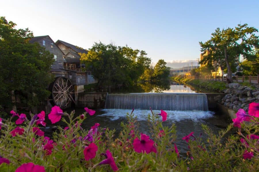Early morning view at the Little Pigeon River in Gatlinburg, Tennessee, showcasing an old mill with a water wheel adjacent to a small waterfall. The foreground features vibrant pink flowers, enhancing the natural beauty of the scene with reflections of the buildings and trees in the calm river waters.