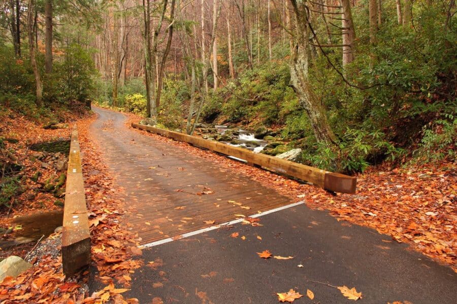 The Roaring Fork Motor Trail in Gatlinburg, Tennessee, during autumn, featuring a wet wooden bridge covered in fallen leaves. The bridge curves alongside a creek with a gently cascading stream, surrounded by a dense forest with vibrant fall colors